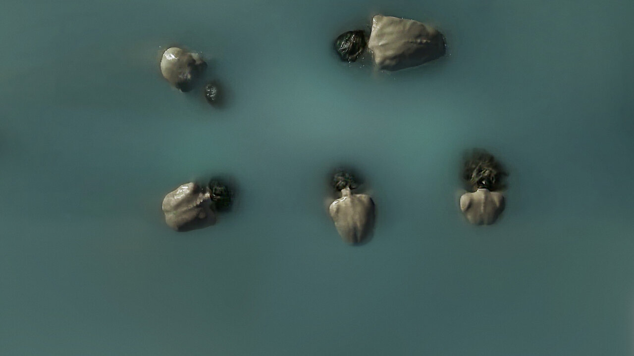 Watch カトラ Netflix Official Site